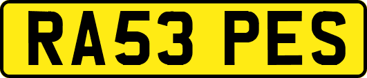 RA53PES