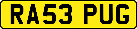 RA53PUG