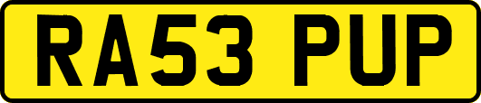 RA53PUP