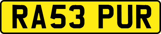 RA53PUR