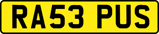 RA53PUS