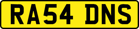 RA54DNS