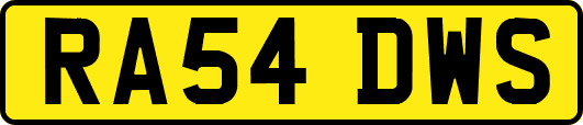 RA54DWS
