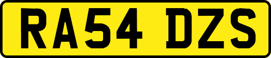 RA54DZS