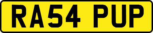 RA54PUP