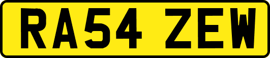 RA54ZEW