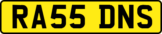 RA55DNS