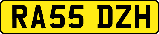 RA55DZH