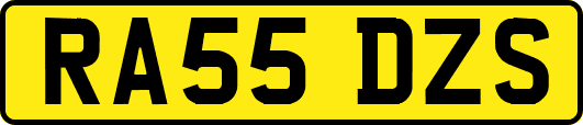 RA55DZS