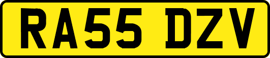 RA55DZV