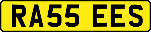 RA55EES