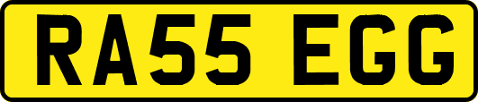 RA55EGG