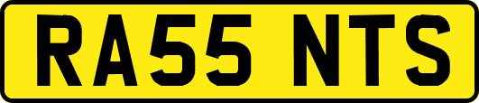 RA55NTS