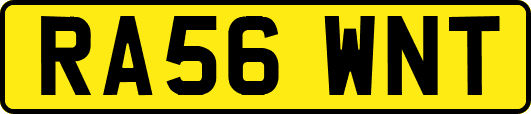 RA56WNT
