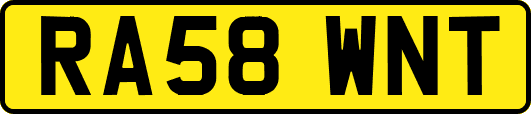 RA58WNT