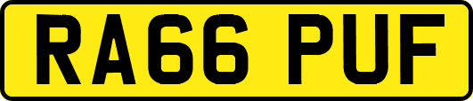 RA66PUF