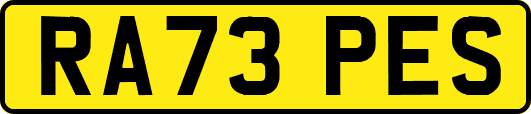 RA73PES
