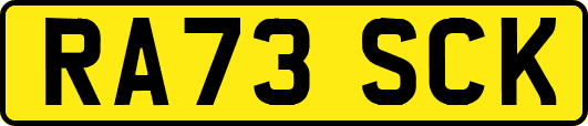 RA73SCK