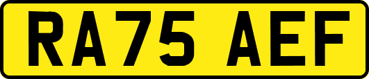RA75AEF