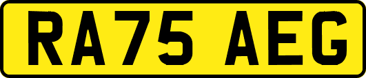 RA75AEG