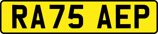 RA75AEP