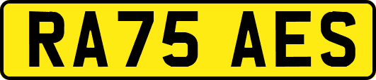 RA75AES