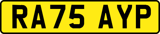 RA75AYP