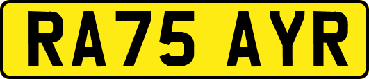 RA75AYR