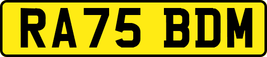 RA75BDM