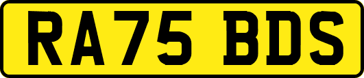 RA75BDS