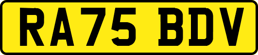 RA75BDV