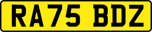 RA75BDZ