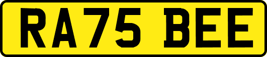 RA75BEE