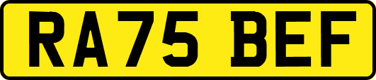 RA75BEF