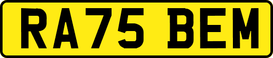 RA75BEM