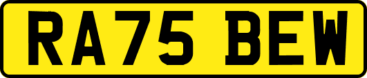 RA75BEW