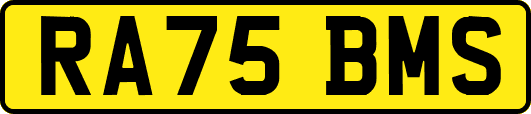 RA75BMS