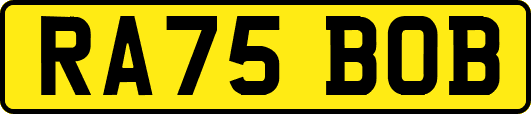 RA75BOB