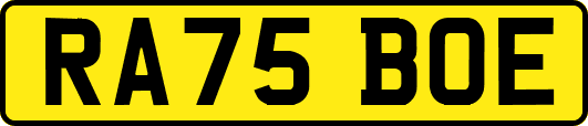 RA75BOE