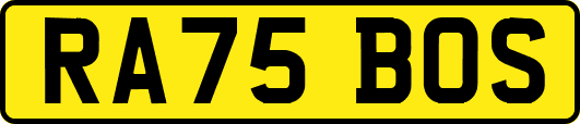 RA75BOS
