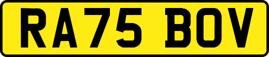 RA75BOV