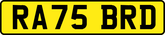RA75BRD