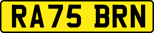 RA75BRN
