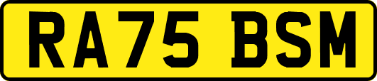 RA75BSM