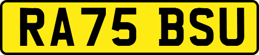 RA75BSU