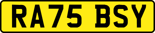 RA75BSY