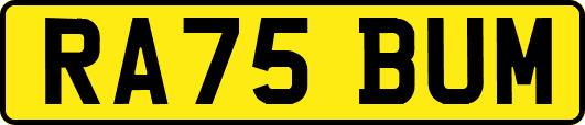 RA75BUM