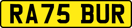 RA75BUR