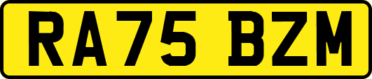 RA75BZM