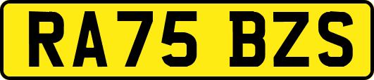 RA75BZS